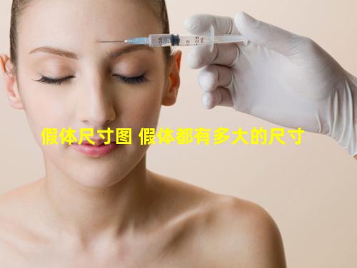 假体尺寸图 假体都有多大的尺寸